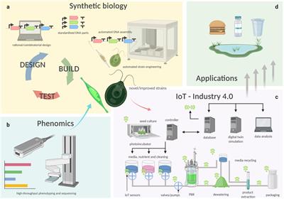 Emerging Technologies in Algal Biotechnology: Toward the Establishment of a Sustainable, Algae-Based Bioeconomy